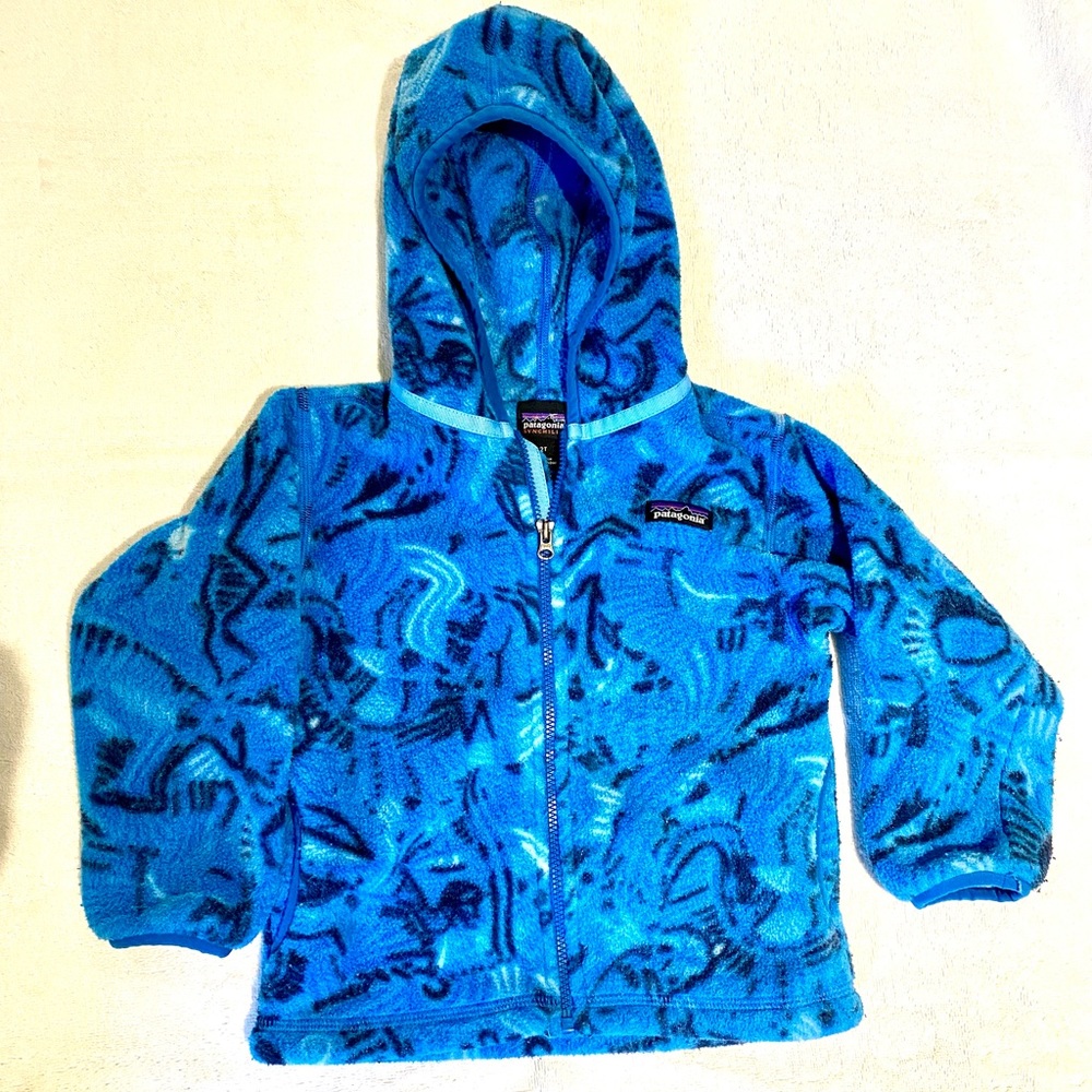 Patagonia kids Synchilla fleece jacket 2T
